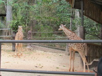 Emperor Valley Zoo