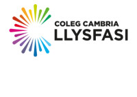 Coleg llysfasi