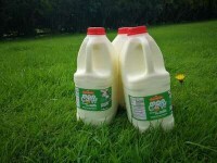 Hilltop Dairy Farm