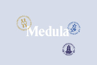 Medula estúdio