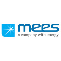 Mees engenharia