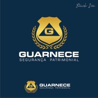 Dominio empresa de seguranca