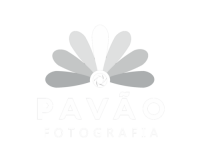 Pavão fotografia