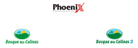 Phoenix empreendimentos