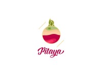 Pitaya gastronomia funcional