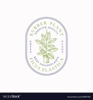 Plant-rubber