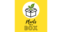 Plants in a box