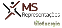 Ms representacoes