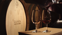 Quinta vale do armo