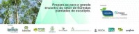 Rs florestal brasil
