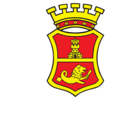 San miguel brewing international ltd.
