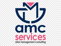 Sector consultoría empresarial