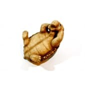 Seductive turtle inc