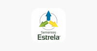 Sementes estrela