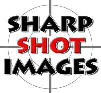 Sharp shot security
