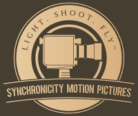 Synchronicity media and films