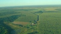 Teca do brasil florestal ltda.