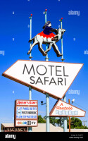 Motel safari