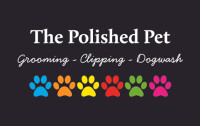 The polished pet