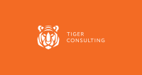 Tiger consulting brasil