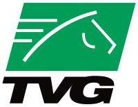 Tvg transportes
