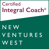 Vemser coaching integral