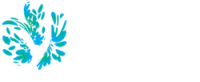 Voi medicina e check-up