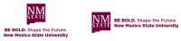 New mexico state university