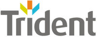 Trident building consultancy ltd