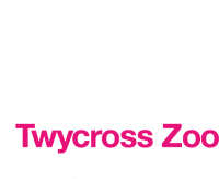 Twycross zoo