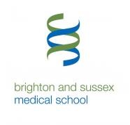 University of brighton and brighton and sussex medical school (bsms)