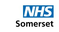 Somerset clinical commissioning group (ccg)