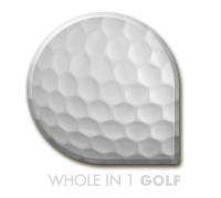 Whole in 1 golf