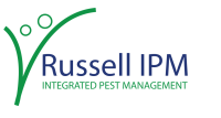 Russell ipm