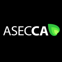 Asecca