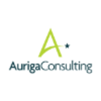 Auriga consulting ltd (auriga)