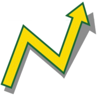 Resolute management services ltd