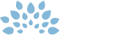 Bradfields academy