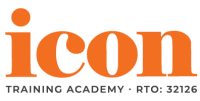 Icon training