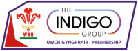 The indigo group
