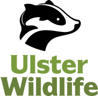 Ulster wildlife