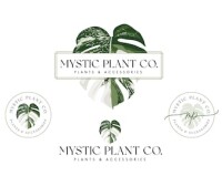 Clancy plant