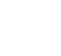 Coconut lizard