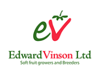 Edward vinson ltd