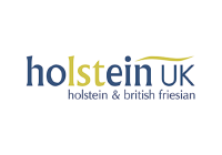 Holstein uk
