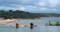 St brides spa hotel