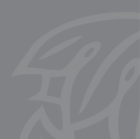 Acanthus clews architects limited