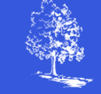 Blossom house school limited