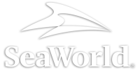 Seaworld parks & entertainment