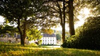 Grove of narberth